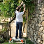 Image 1619 PrestaShop