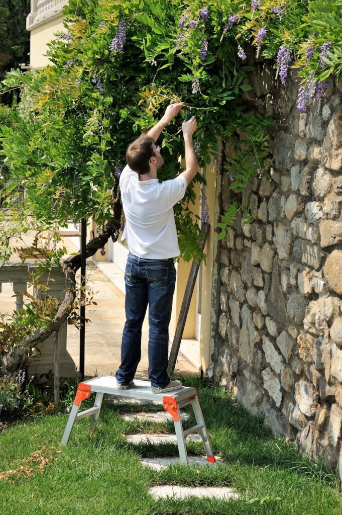 Image 1619 PrestaShop